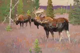 Bob Kuhn, Saber Rattling