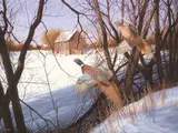 David Maass, Leaving Shelter Behind, Midwest Pheasants