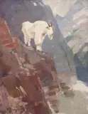 Carl Rungius, Mountain Goat