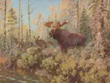 Carl Rungius, Monarch of the Pines