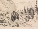 Carl Rungius, Out of the Canyon