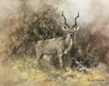 David Shepherd, Greater Kudu