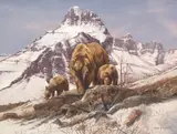 Gary Swanson, Grizzly Bears