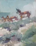 Carl Rungius, Antelope