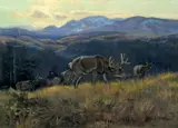 Black Tail Deer - Buffalo Days by Charles Marion Russell, 1916, oil on canvas, sold Jul 2005