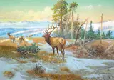 Olaf Carl Seltzer, The Herd Bull