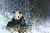 David Shepherd, Panda of Wolong