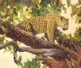 John Swatsley, Afternoon Watch
