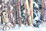 Kesler Woodward, Light in the Forest, 2005, oil on canvas