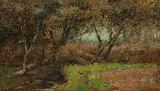 Chris Beekman, Tree within an Autumnal Landscape, oil on board