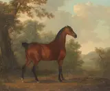 Sawrey Gilpin, Bay Hunter, oil on canvas