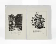 Sonia Lawson, What Would the World Be?, print