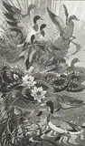 Colin See Paynton, Sudden Movement, woodcut