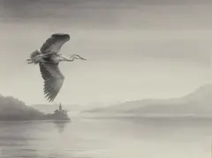 Philip Snow, Heron, Mawddach Estuary, pen and ink wash