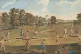 Francis Hayman, A Game of Cricket (The Academy Club, Marylebone Fields) circa 1750, Hand coloured engraving