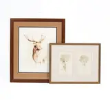 Jonathan Poole, Stag, lithograph in colours