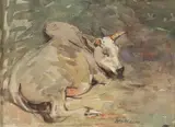William Walls, Cattle Study, watercolour