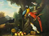 Jacob Bogdani, Two Macaws, a Cockatoo, a Red-Billed Chough and Other Birds, oil on canvas