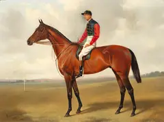 Alfred Wheeler, Study of Persimmon, Winner of the Derby, 1896, oil on canvas