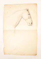 Théodore Géricault, Study of a Horse, pencil