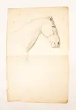 Théodore Géricault, Study of a Horse, pencil