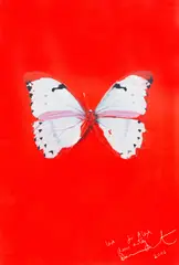 Damien Hirst, Untitled (Red Butterfly), screenprint