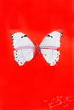 Untitled (Red Butterfly) by Damien Hirst, screenprint, sold May 2024