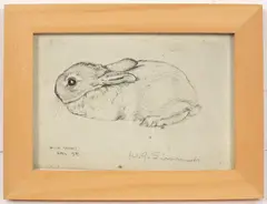 William George Simmonds, Wild Rabbit, photographic print