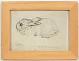 William George Simmonds, Wild Rabbit, photographic print