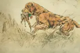 Henry Wilkinson, Retriever with Dead Game, etching and aquatint