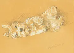 Lucy Dawson 'Mac', West Highland Terrier, pencil and chalk on brown paper