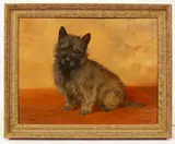 F. M. Hollams, Bob', a Cairn terrier