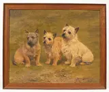 F. M. Hollams, Three Cairn Terriers