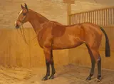 F. M. Hollams, A Bay Hunter in a Loosebox