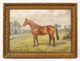 Major George A Cattley, Horse in a Landscape, oil on canvas board