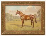 Major George A Cattley, Horse in a Landscape, oil on canvas board