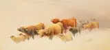 Frederick E. Valter, Highland Cattle and Sheep Caught in a Snowdrift, watercolour