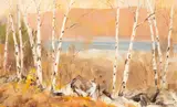 Douglas Ferguson Elliott, Birch Grove near Cobalt