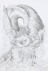 Witold Vargas, KRÓL RYB, 2017, ołówek, papier