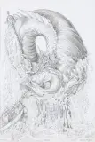 Witold Vargas, KRÓL RYB, 2017, ołówek, papier