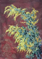 Stanisław Ejsmond, MIMOZA, przed 1925, pastel, akwarela, karton