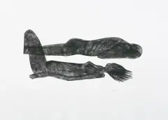 Jolanta Johnsson, Human 5, folioryt, karton