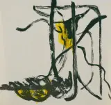 Alina Ślesińska, BEZ TYTUŁU, 1960, litografia barwna, papier