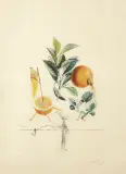 GRAPEFRUIT, Z CYKLU "FLORDALI" by Salvador Dalí, 1969/70, litografia barwna, sucha igła, papier, sold Mar 2021