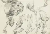 Marian Kratochwil, STUDIA KONI I POSTACI, 1933, ołówek, papier