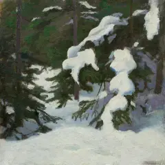 Stanisław Straszkiewicz, Okiść na świerkach. Świerki zimą, olej, tektura