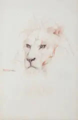 LEW by Tadeusz Styka, kredki, ołówek, papier, sold Jan 2021
