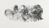 Maja Tomaszewska, La Guarida del Angel, 2020, litografia, papier rosaspina avorio 220g Fabriano