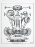 Jacek Yerka, GĄSZCZ KALIGRAFICZNY - I