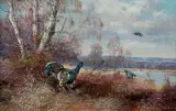 Max senior Haenger, GŁUSZCE